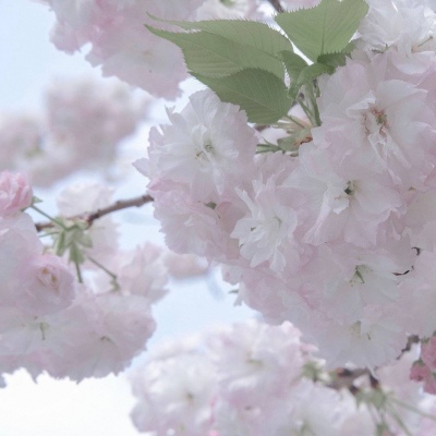 兽设表情绘制实用教程FurryQQ群